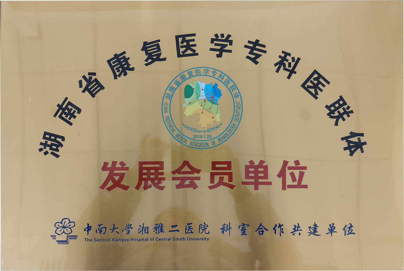 省康复医学专科医联体.png