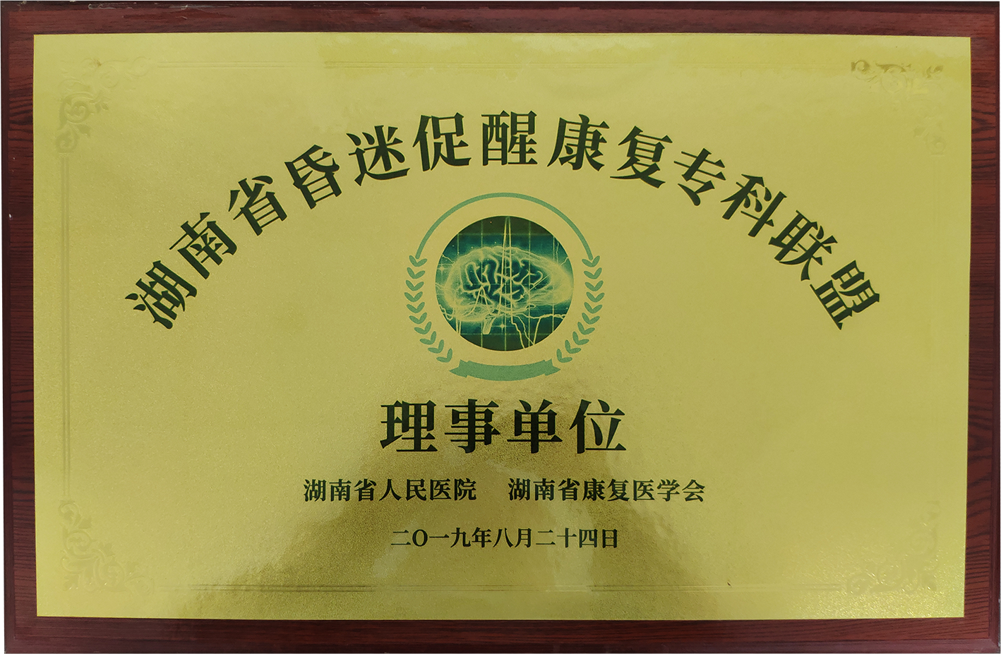 省昏迷促醒康复专科联盟.png