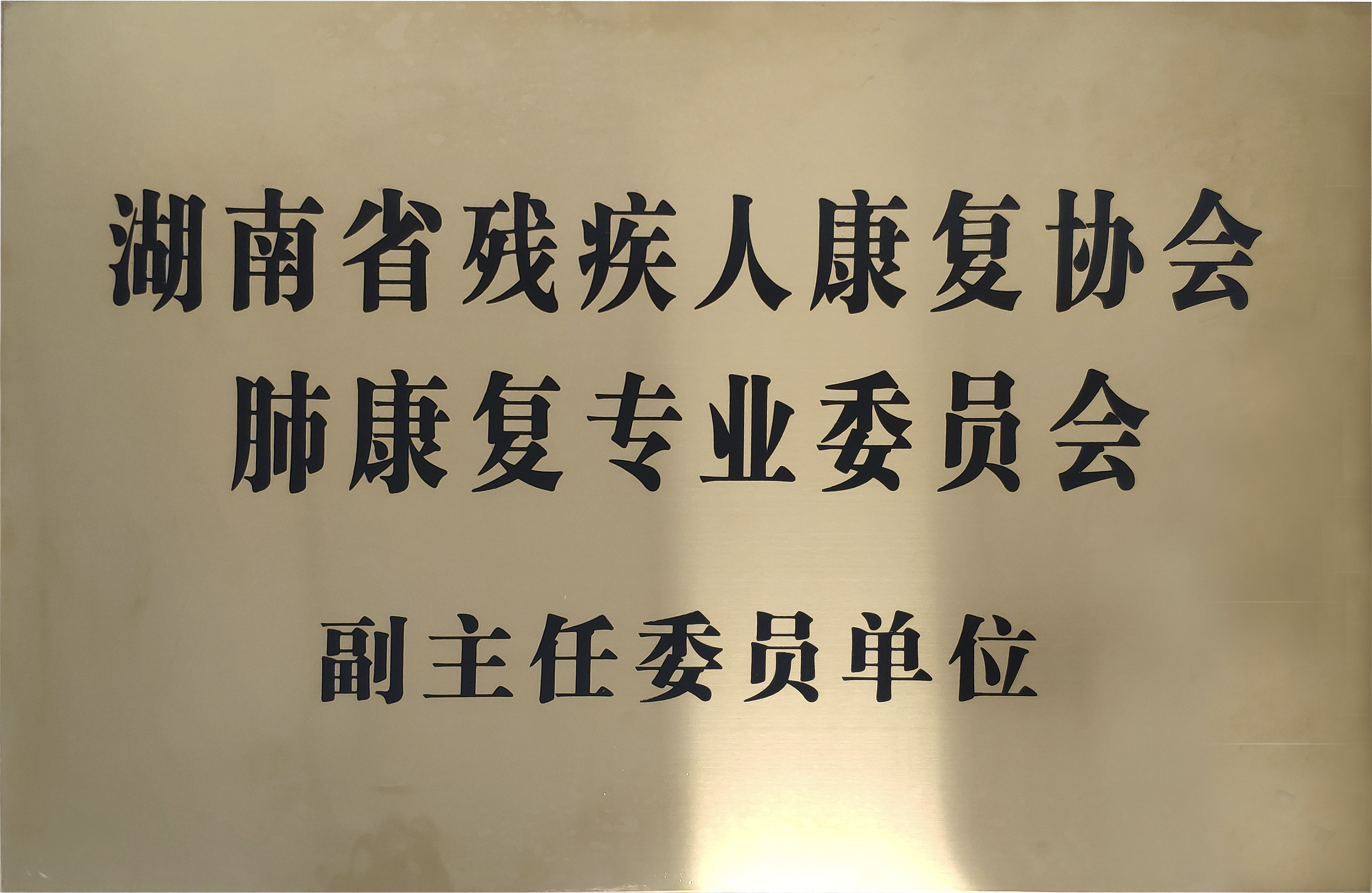 我们的荣誉