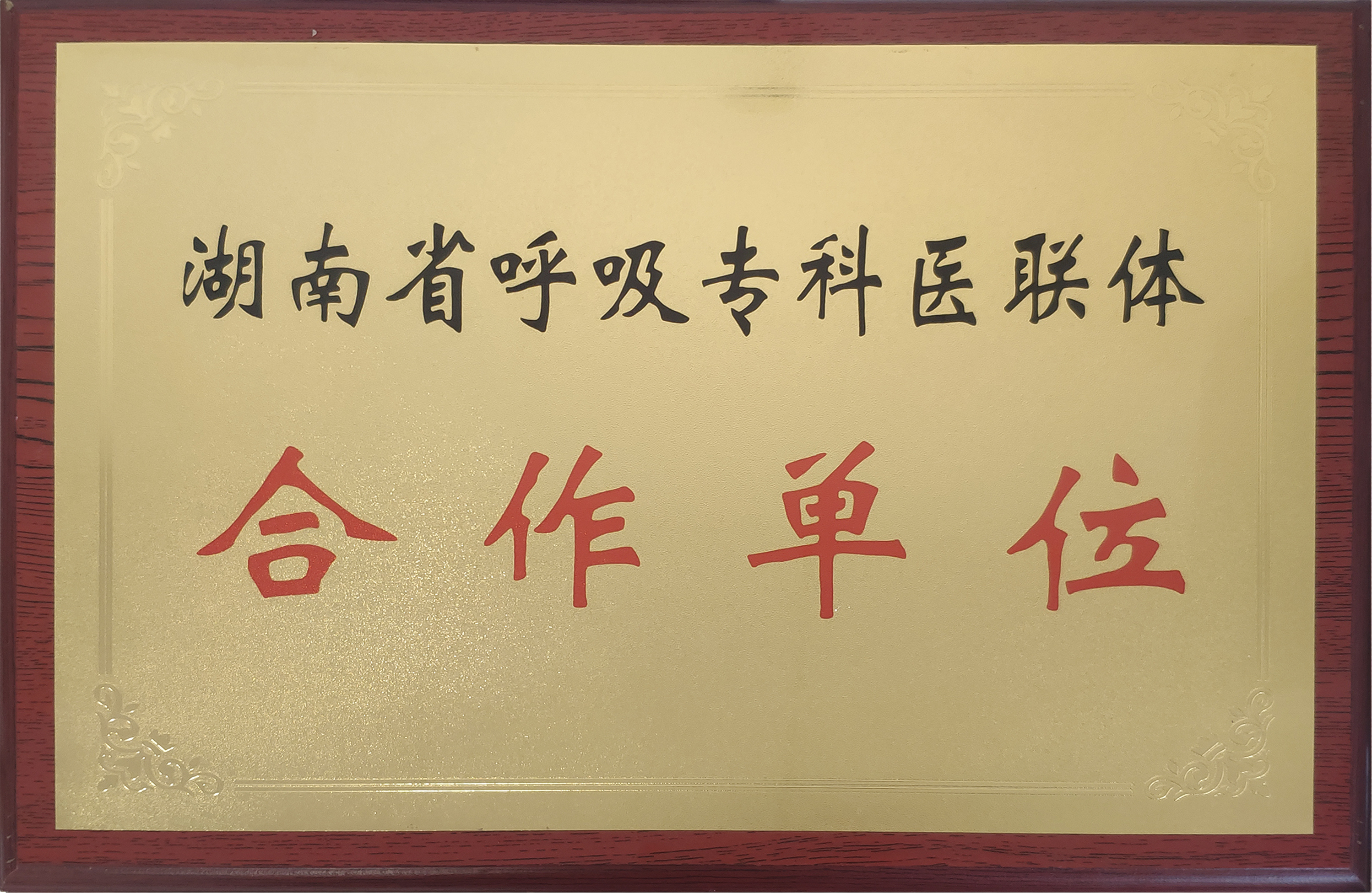 我们的荣誉